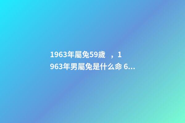 1963年屬兔59歲，1963年男屬兔是什么命 63年屬兔的2022年的運勢，63年屬兔2023年運程及運勢-第1張-觀點-玄機派